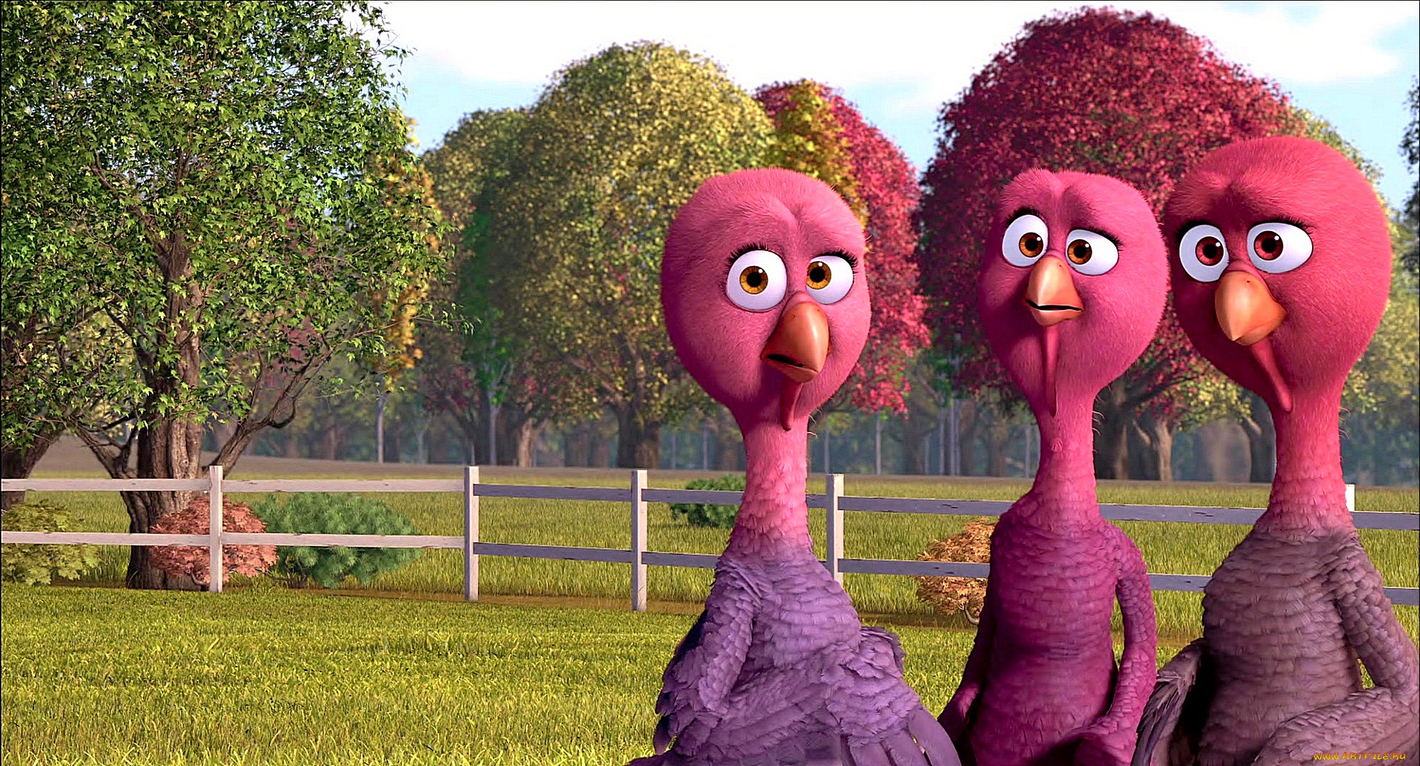 , free birds, , , , , 